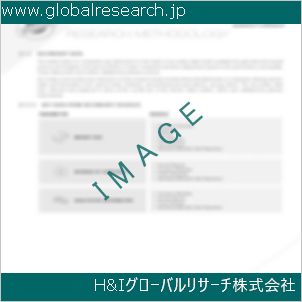 グローバルリサーチ調査資料のイメージ